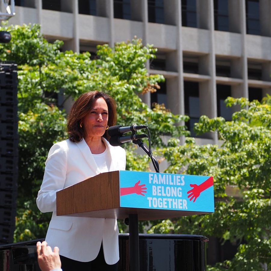 2020 presidential candidate Kamala Karris (D-CA) speaks at a Families Belong Together March in Los Angeles in 2018.