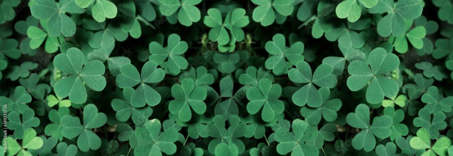 Activities to celebrate St. Patrick’s Day
