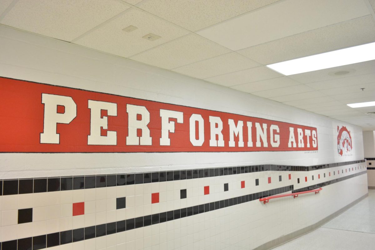 The truth about Madison’s most popular electives